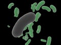Bacterium on black background. Raster Ã¢ââ8 Royalty Free Stock Photo